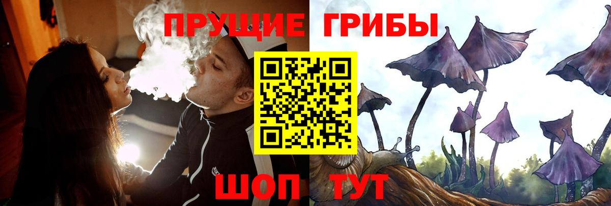Псилоцибиновые грибы ЛСД Горячий Ключ